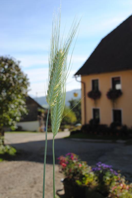 Schlintl-Hof Villa Liebenfels Exterior photo